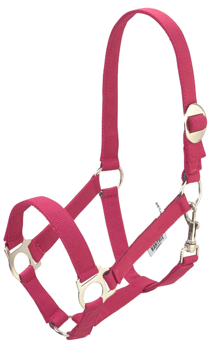 KANTRIE Perlonhalfter